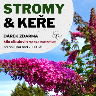 Vzrostlé keře ať už kvetoucí, ovocné nebo zelené vytváří v každé zahradě dominantní prvky, na kterých můžeme postavit...