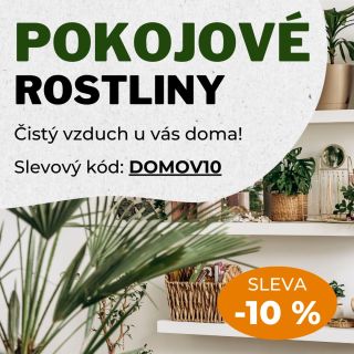 Vpusťte energii v podobě zelených pokojových rostlin do interiéru vašeho domova nebo kanceláří, protože jen tak vytvoříte...