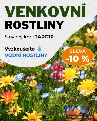 Představte si zahradu bez květin – nudná a bez života, že? Správný výběr rostlin přináší barvy, textury a celkový vizuální...